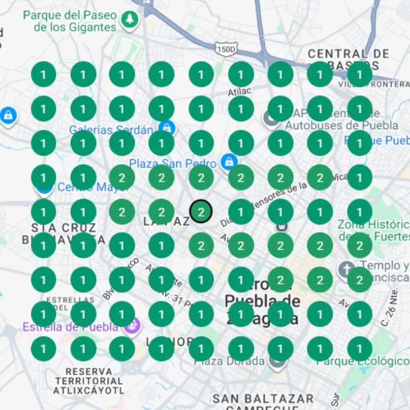 Mapa Verde - Depredador